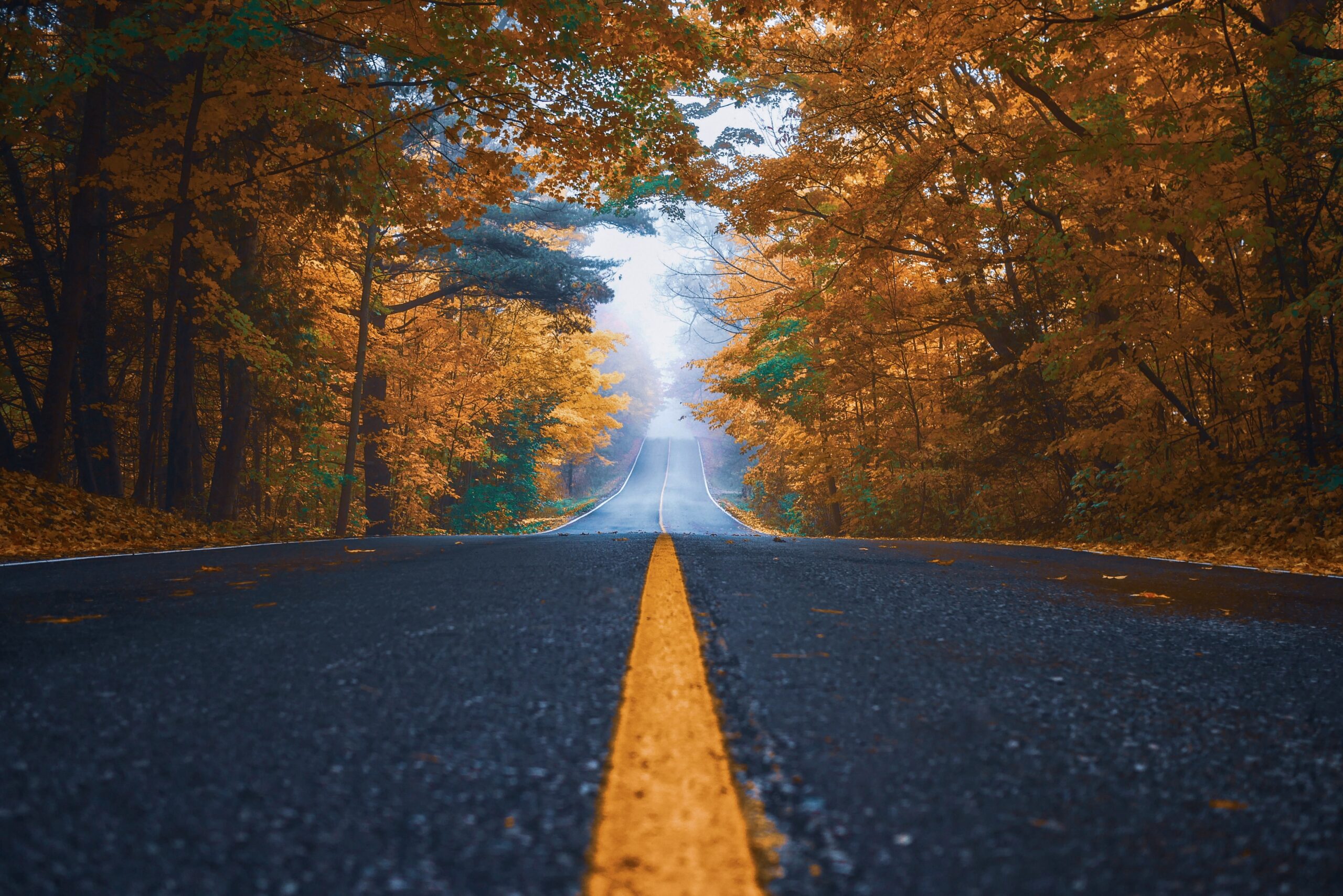 OMNI Asphalt Paving Highway Autumn Time